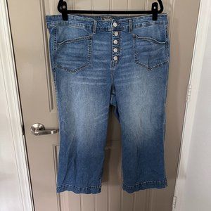 Torrid Crop Wide Leg Vintage Stretch Mid-Rise Jean - 22